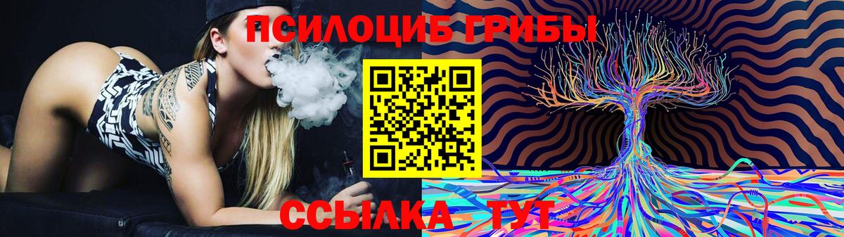 Псилоцибиновые грибы GOLDEN TEACHER  Вход с VPN  Тула 