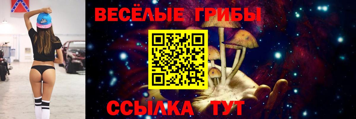 Галлюциногенные грибы MAGIC MUSHROOMS Тула